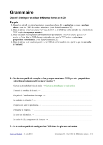 Distinguer et utiliser différentes formes de COD