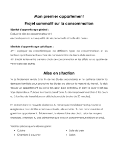 Projet-consommation 2017