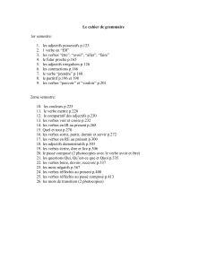 Le cahier de grammaire