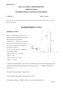 BACCALAURÉAT PROFESSIONNEL