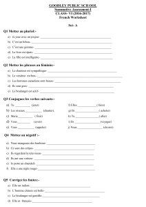 French Worksheet Set- A Q1 Mettez au pluriel