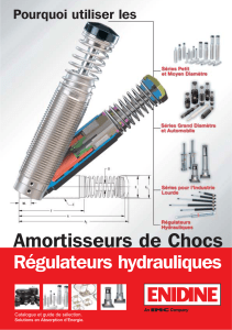 Amortisseurs Hydrauliques Non Réglables