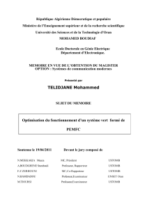 Optimisation du fonctionnement d`un système vert formé de