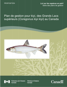 Plan de gestion pour kiyi, des Grands Lacs supérieurs (Coregonus