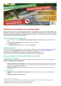 Participez à la surveillance du moustique tigre