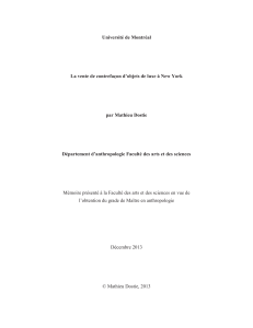 Dostie_Mathieu_2014_memoire - Papyrus