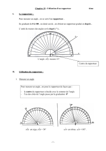 19 Utilisation d`un rapporteur