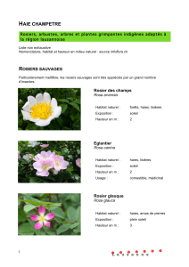 Liste arbres-arbustes