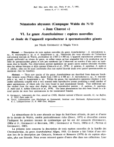 Nématodes abyssaux (Campagne Walda du N/O « Jean Charcot H