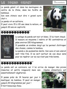 Documentaire « Le panda géant