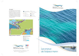Les enjeux de l`espace marin - CROS de Poitou