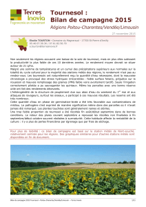 Tournesol : Bilan de campagne 2015