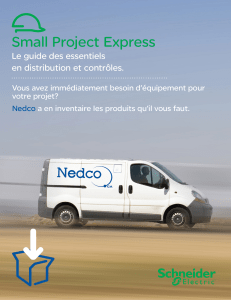 Small Project Express - Nedco
