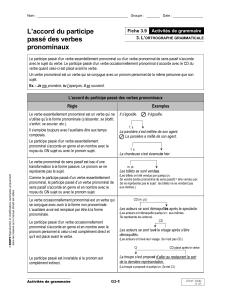 L`accord du participe passé des verbes pronominaux