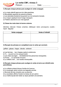 Le verbe CM1, niveau 3 - TurboPE