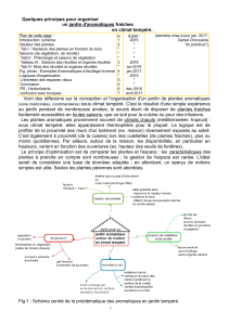 aromatiques - Plantouz