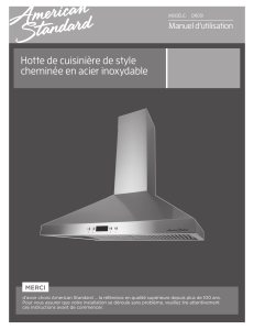 Hotte de cuisinière de style cheminée en acier inoxydable