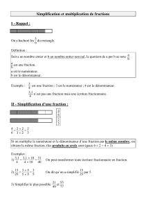 Simplification et multiplication de fractions I