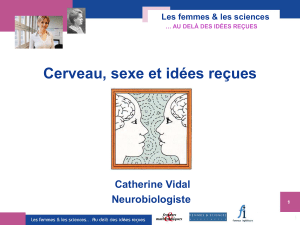Cerveau, sexe et id&eacute;es re&ccedil;ues