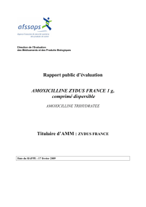 AMOXICILLINE ZYDUS FRANCE 1 g, comprimé dispersible