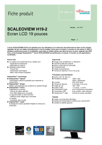 SCALEOVIEW H19-2 Ecran LCD 19 pouces
