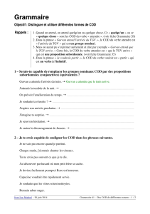 Distinguer et utiliser différentes formes de COD