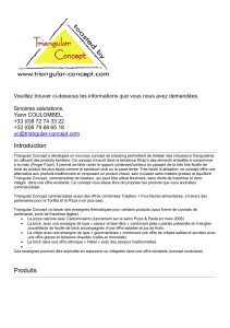 Informations 2008 -TC + Calzonissimo + Lolly - triangular