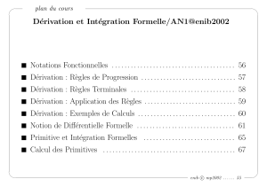 Dérivation et Intégration Formelle/AN1@enib2002 Notations