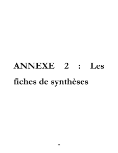 ANNEXE 2 : Les fiches de synthèses