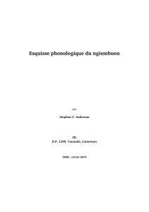 Ngiemboon Sketch Phonology May 2014 French.rtf