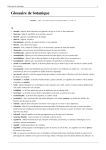 Glossaire-de-botaniq.. - doc-developpement