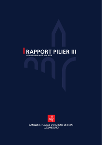 Rapport pilier 3 sem.2015.indd