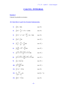 1CD-calcul integral
