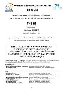 thèse - Université Francois Rabelais