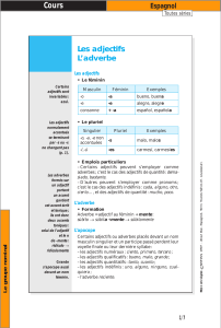 Les adjectifs L`adverbe