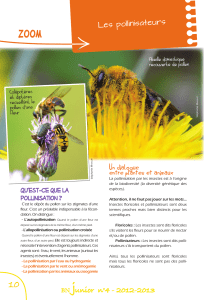 Qu`est-ce que la pollinisation ? BN junior n°4 - 2012-2013