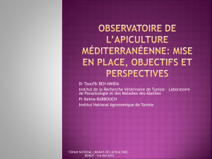 Observatoire de l`Apiculture Méditerranéenne: Mise en place