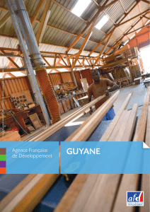 guyane