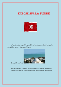 expose sur la tunisie - Ecole Chevannes Centre