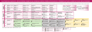 plan d`études pour le bachelor en : gestion d`entreprise