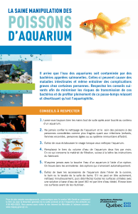 La saine manipulation des poissons d`aquarium