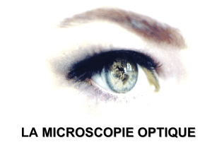 Optique à l - Hervé Klein Microscopie