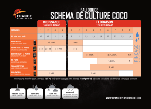 schema de culture coco