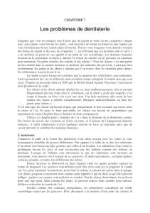Les problèmes de dentisterie