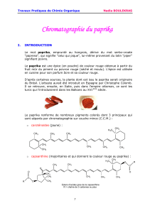 2. Chromatographie du paprika - E