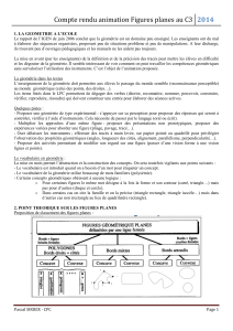 Compte rendu animation Figures planes au C3 2014