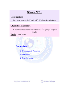 Séance n° 5 : conjugaison.
