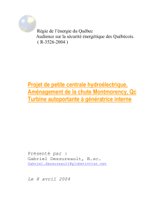 Projet de petite centrale hydroélectrique, Aménagement de la chute