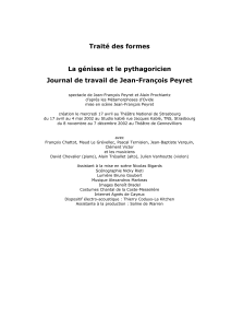 Traité des formes La génisse et le pythagoricien Journal de travail