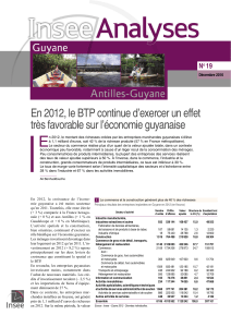 Insee Analyses Guyane n° 19